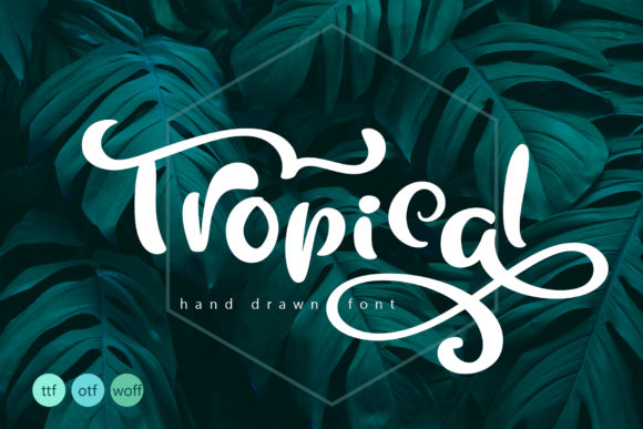 Discover Tropical: A Fresh Calligraphic Typeface for Modern Design