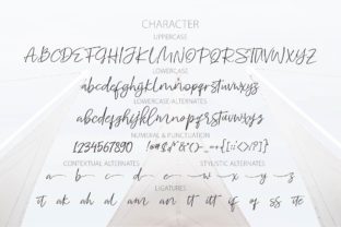 Elevate Your Editorial Design with the Charming Whitecase Font