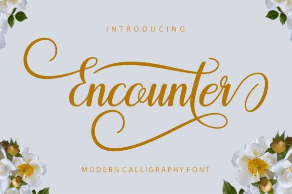Encounter: A Modern Script Font for Editorial Elegance