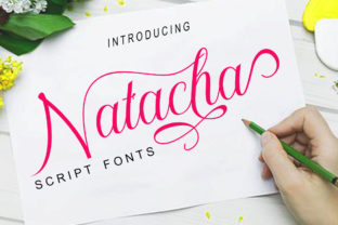 Enhance Your Brand with Natacha: A Modern Calligraphy Font