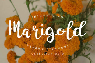 Marigold: A Handwritten Font for Craft and Design