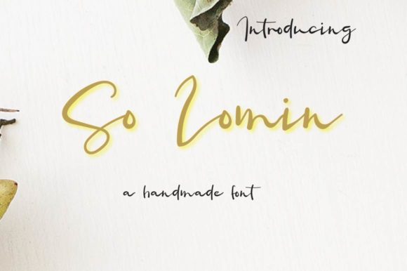 So Lomin: A Bold and Charming Handwritten Font for Creative Projects
