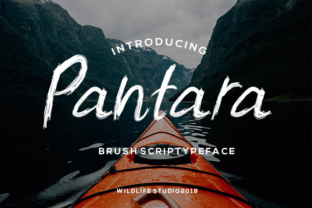 Transform Your Brand with Pantara: A Premium Script Font