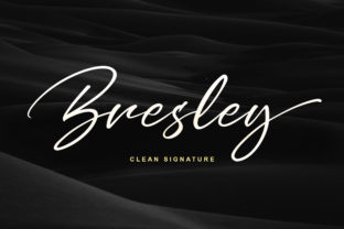 Transform Your Campaigns with Bresley: A Bold Script Font